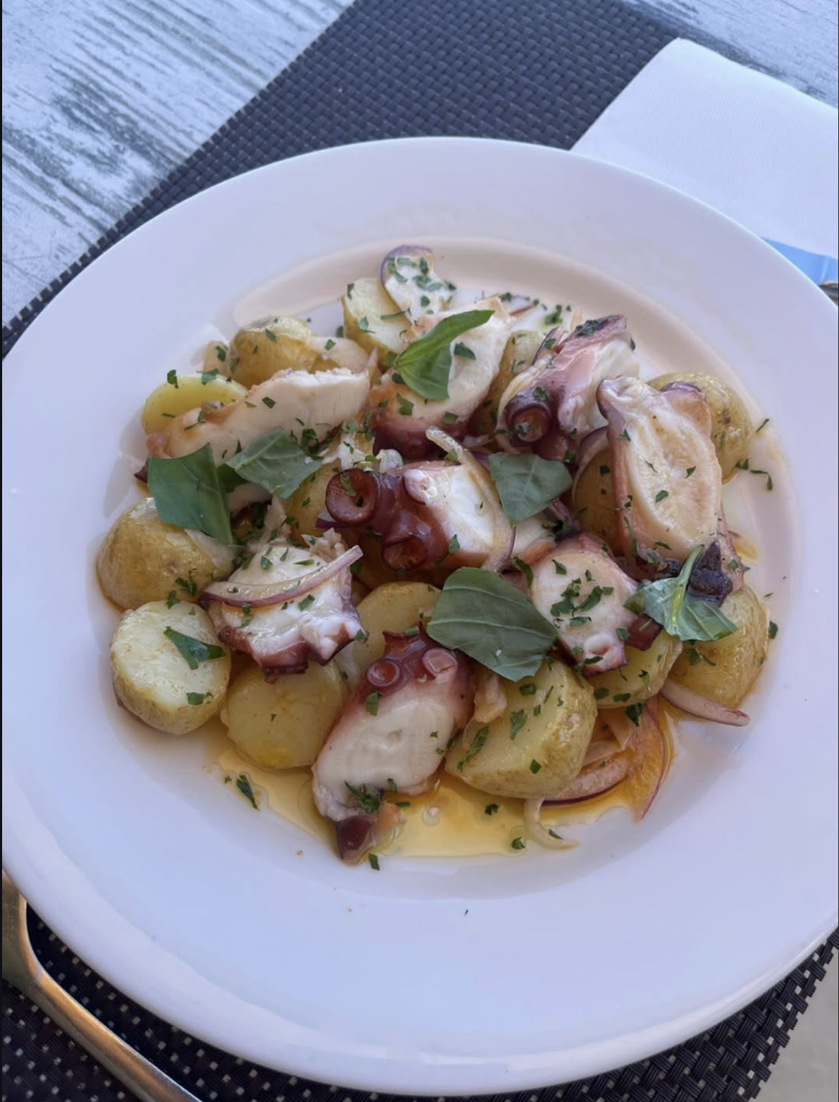 Pulpo